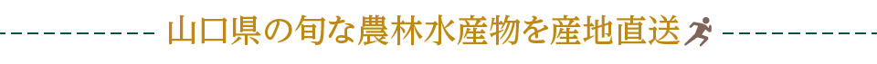 山口県の旬な農林水産物を産地直送